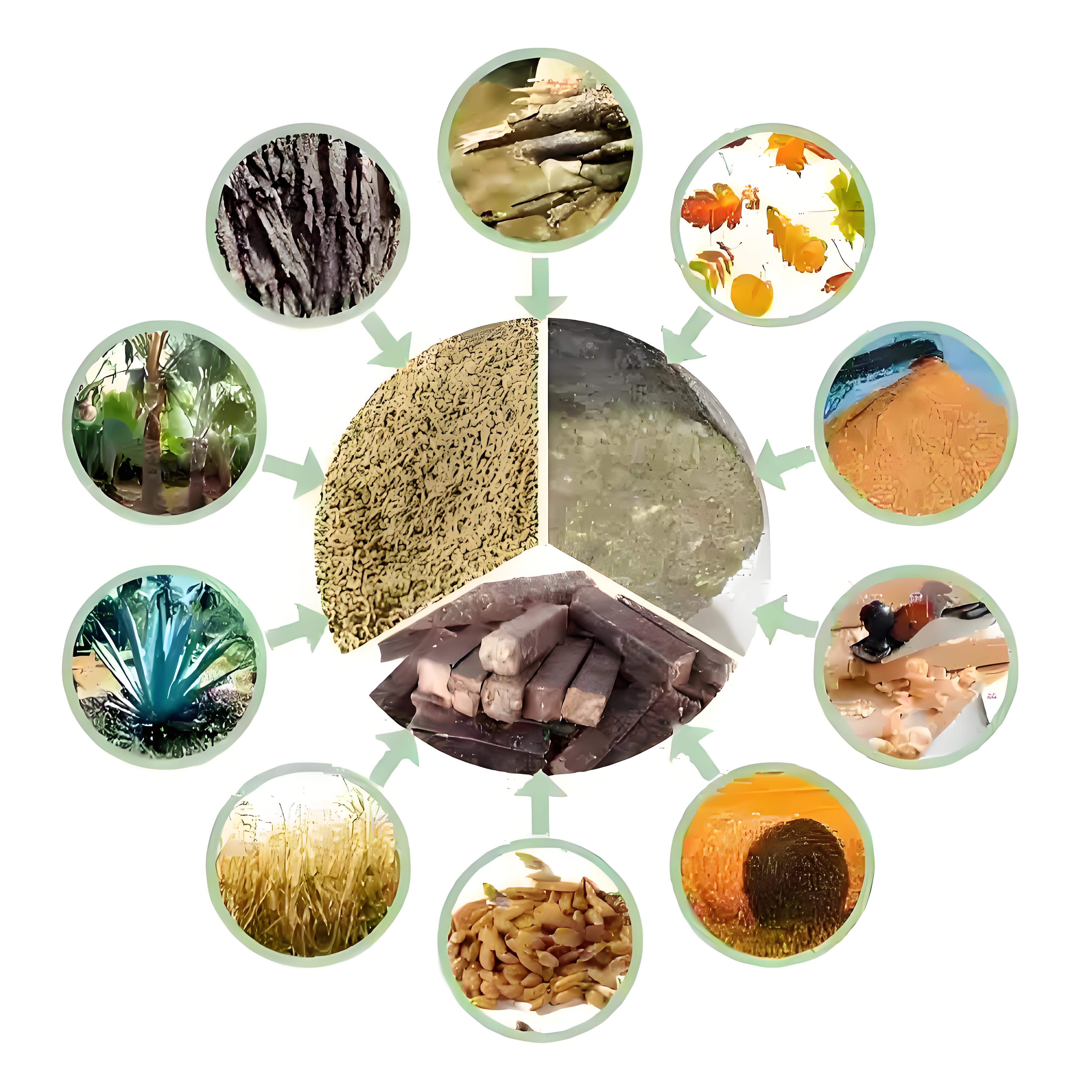 生物質資源.jpg