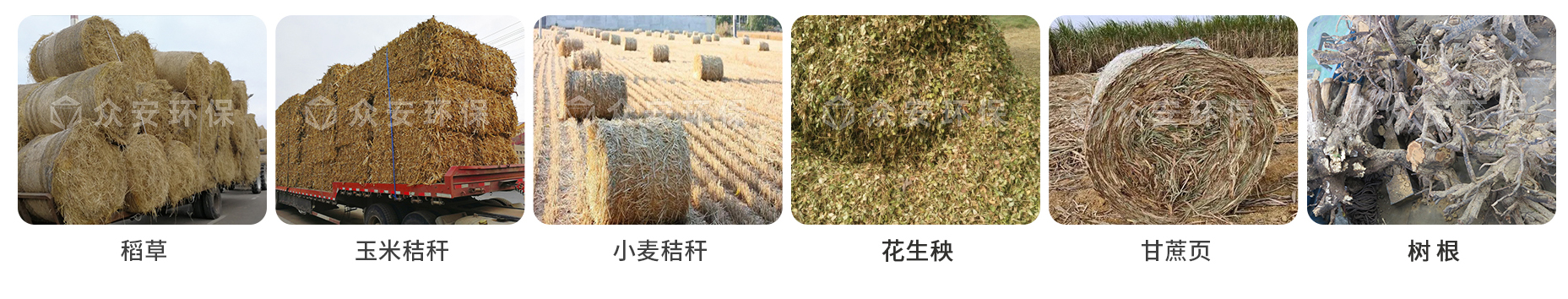 生物質_01.jpg